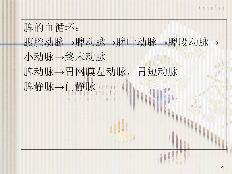 脾脏及脾脏疾病影像学表现共46页_第4页