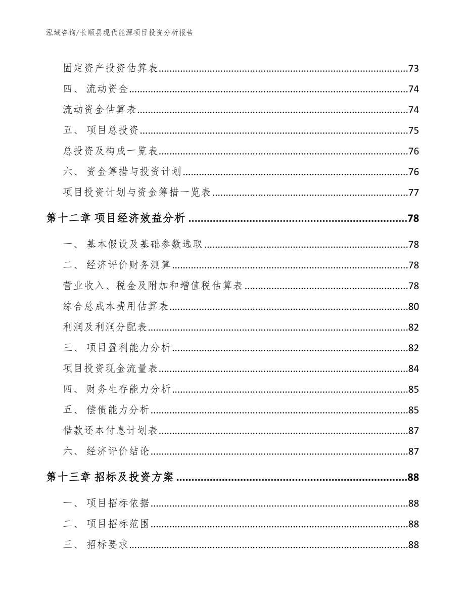 长顺县现代能源项目投资分析报告_模板范文_第5页