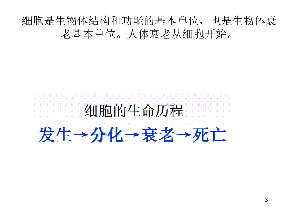 抗衰老项目优秀课件_第3页