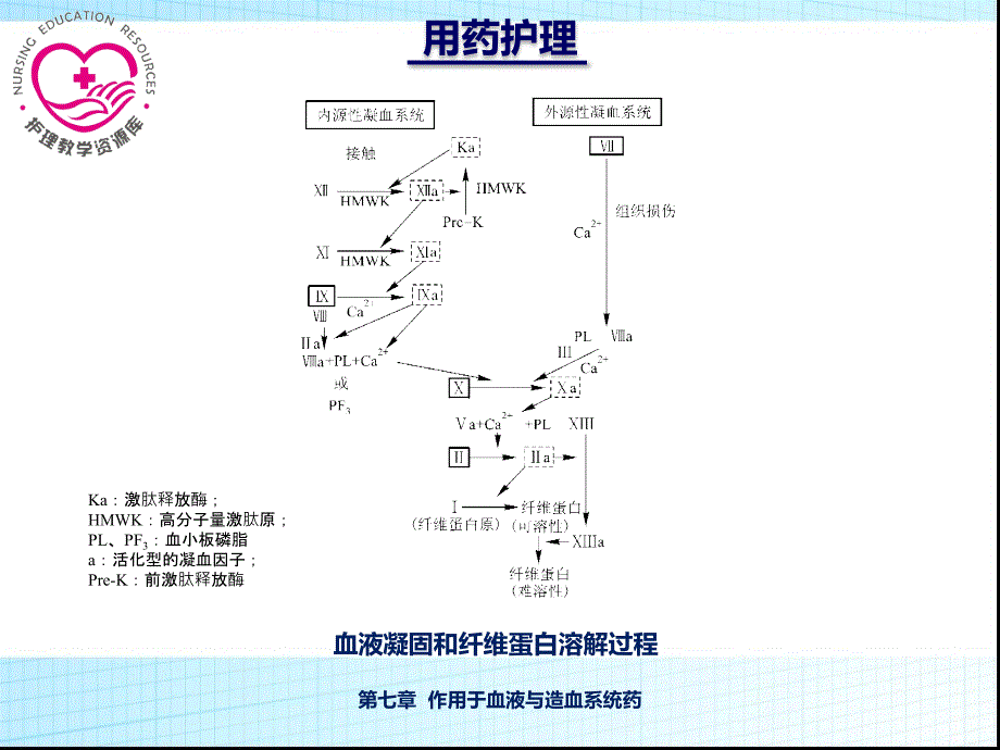 最新用药护理7章PPT文档_第2页