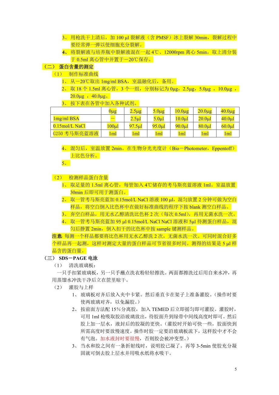 Western印迹法.doc_第5页