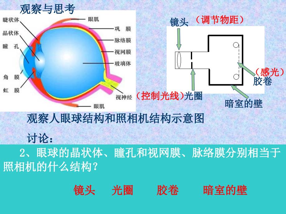 人体对外界环境的感知(复习).ppt_第3页