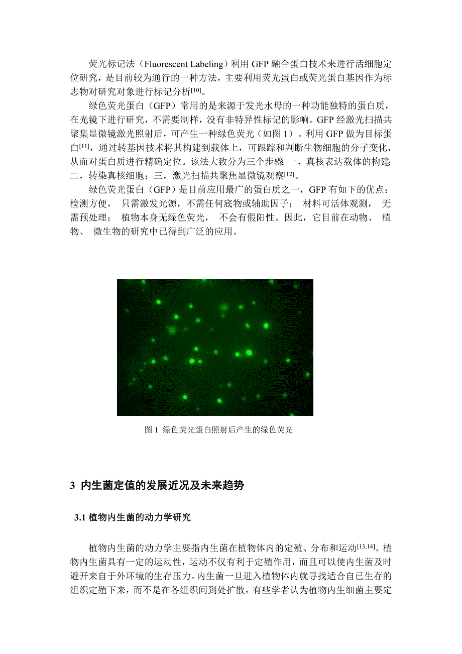 枯草芽孢杆菌.doc_第3页