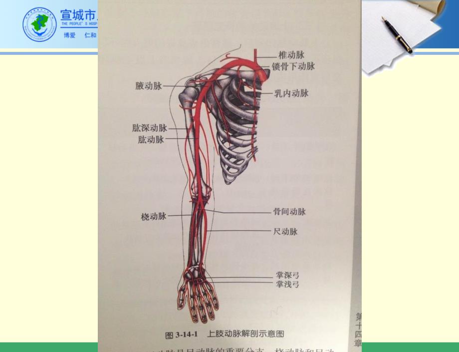 超声在动静脉内瘘术前后的应用.ppt_第4页