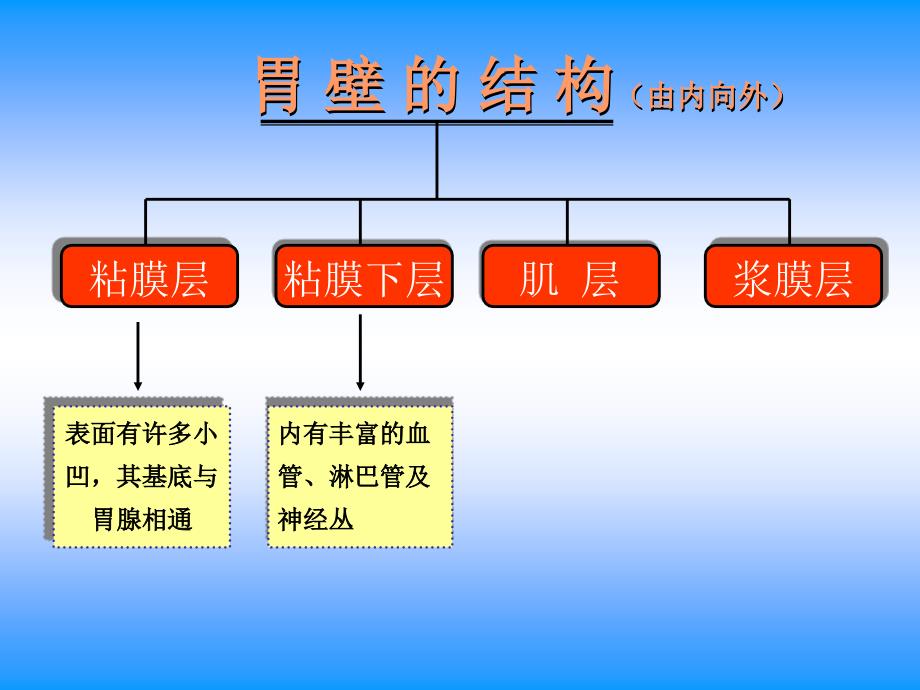 胃十二指肠疾病护理课件_第3页