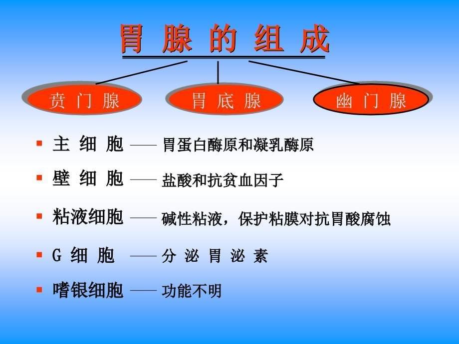 胃十二指肠疾病护理课件_第5页