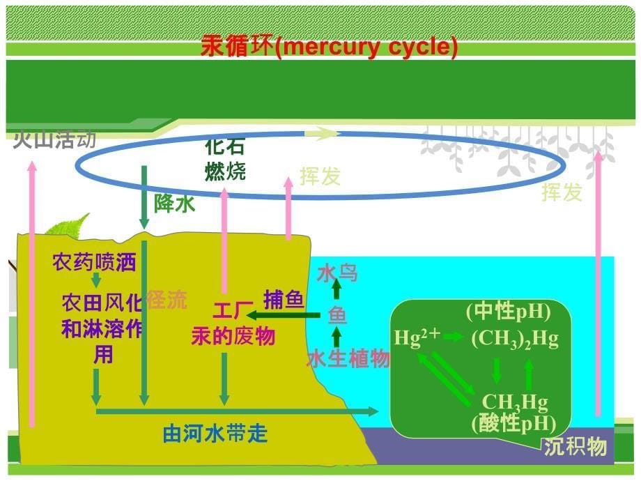 第二章污染物在环境中的迁移和转化PPT课件02_第5页