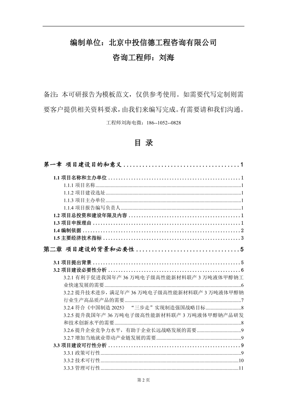 年产36万吨电子级高性能新材料联产3万吨液体甲醇钠项目建议书写作模板_第2页