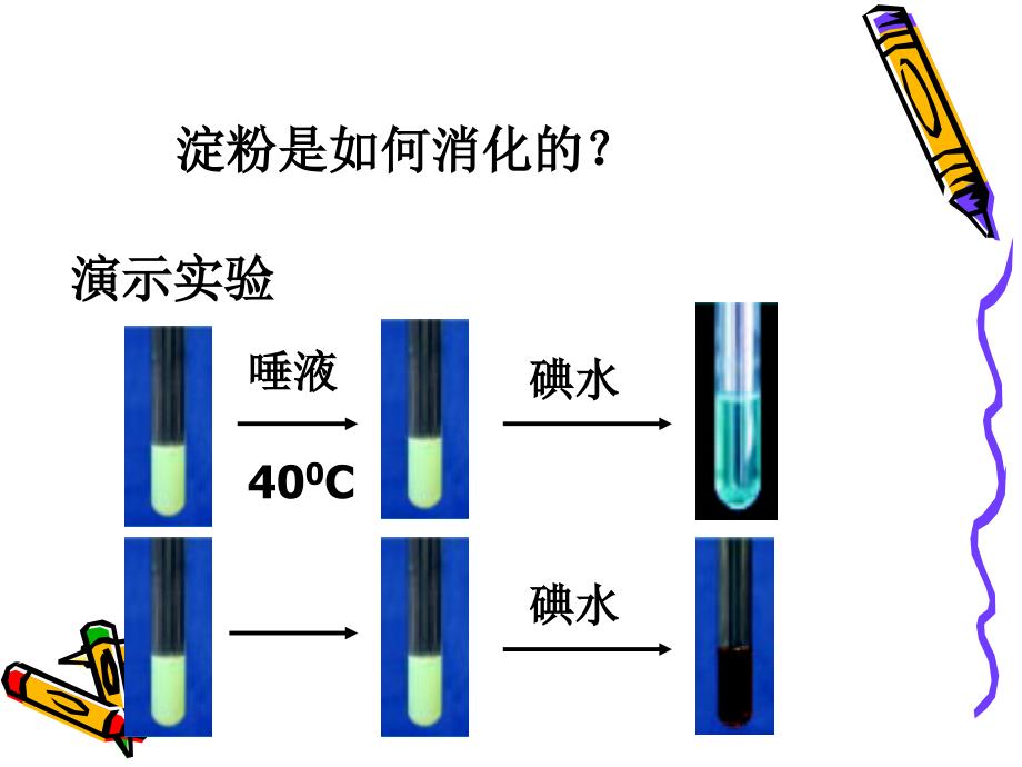 课题食物中的素_第4页