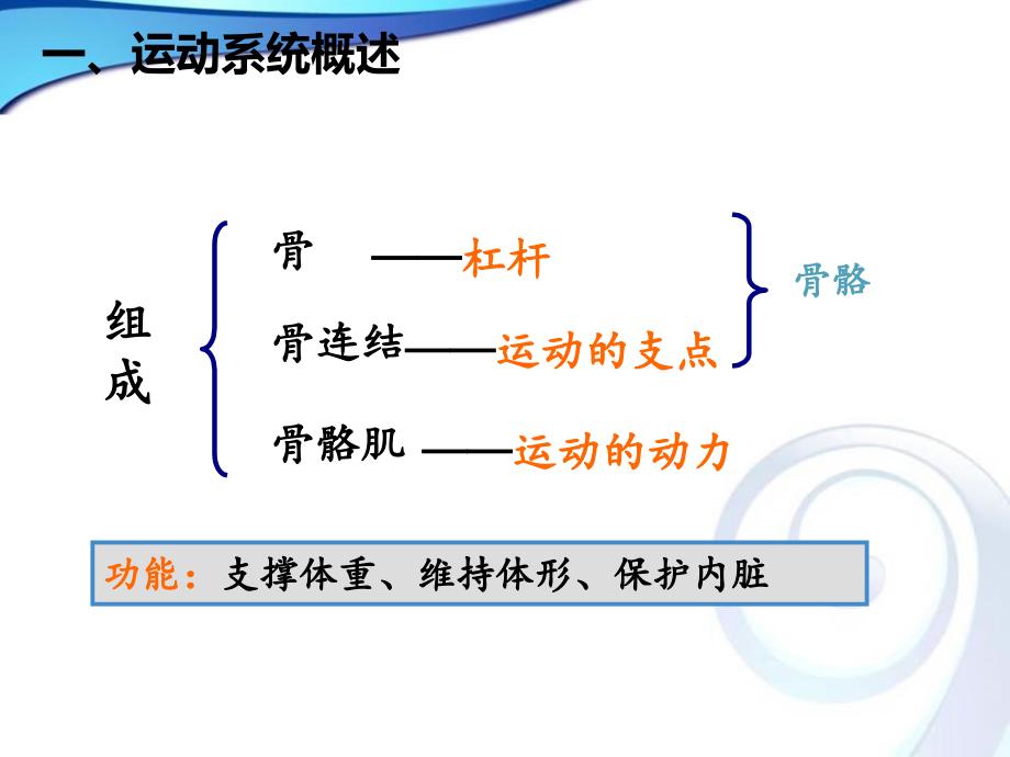 学前儿童运动系统的特点及保健_第3页