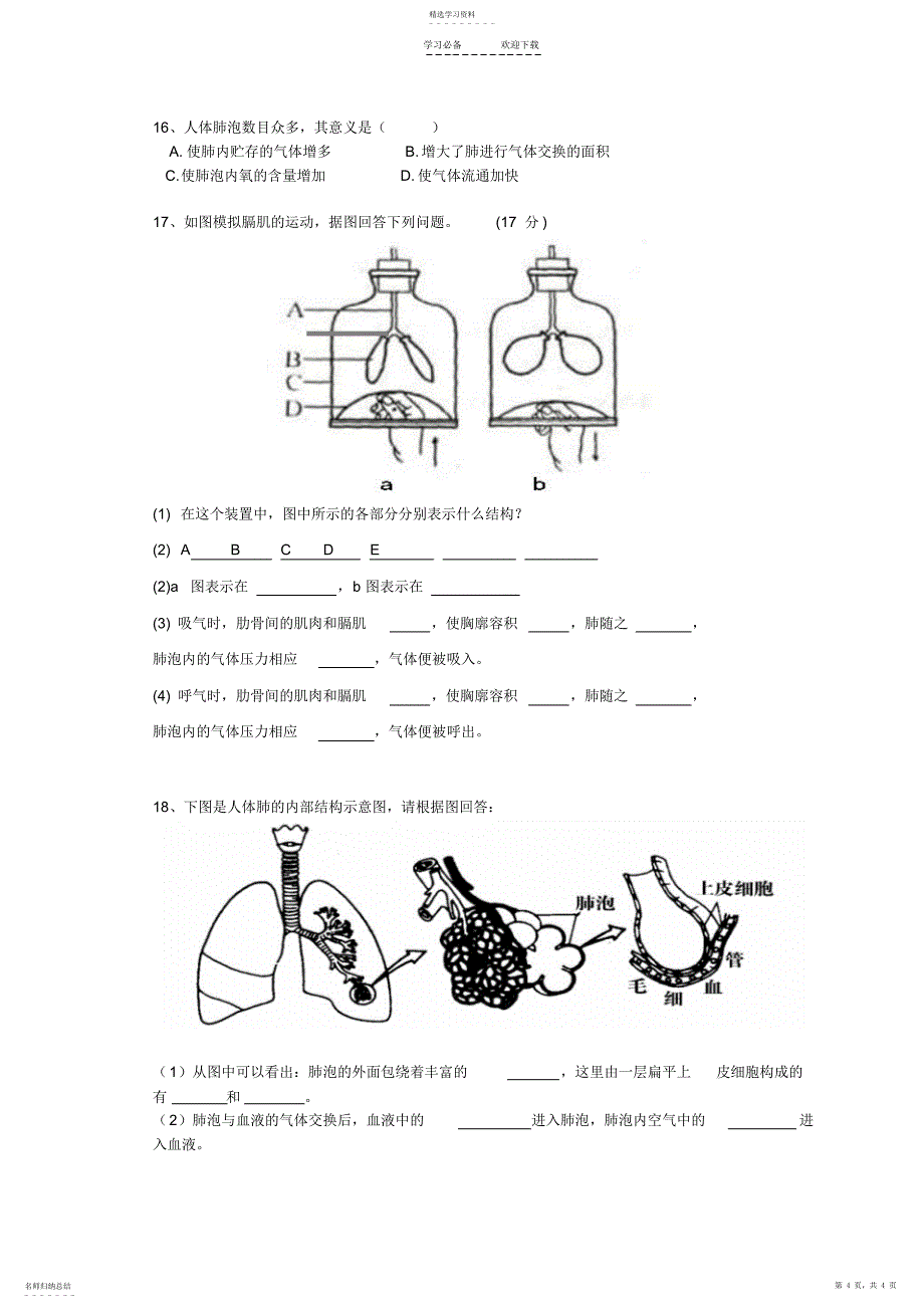 2022年第三章.人体的呼吸复习导学案_第4页