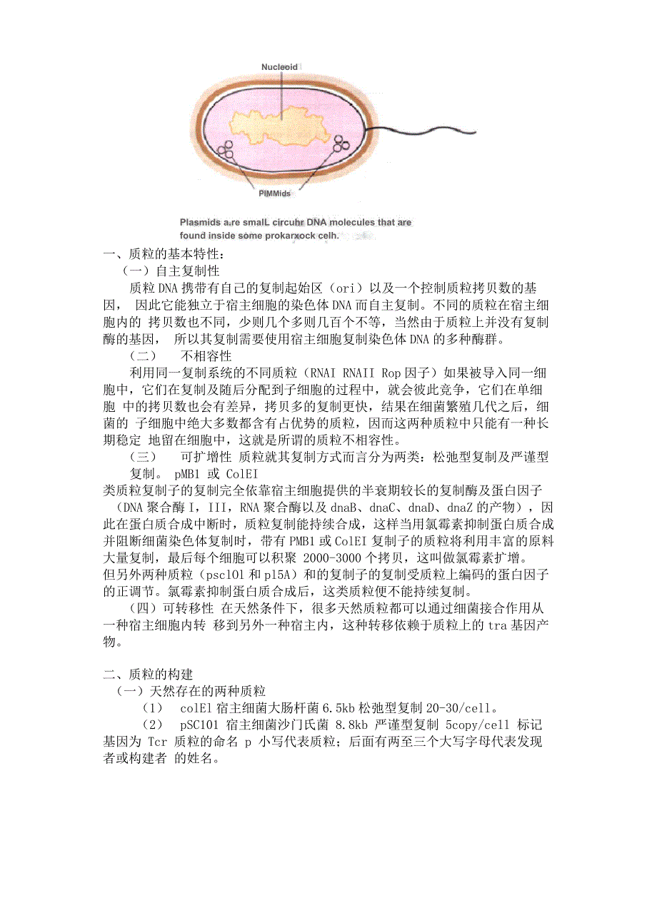 第2章 基因克隆的载体——质粒和噬菌体_第2页