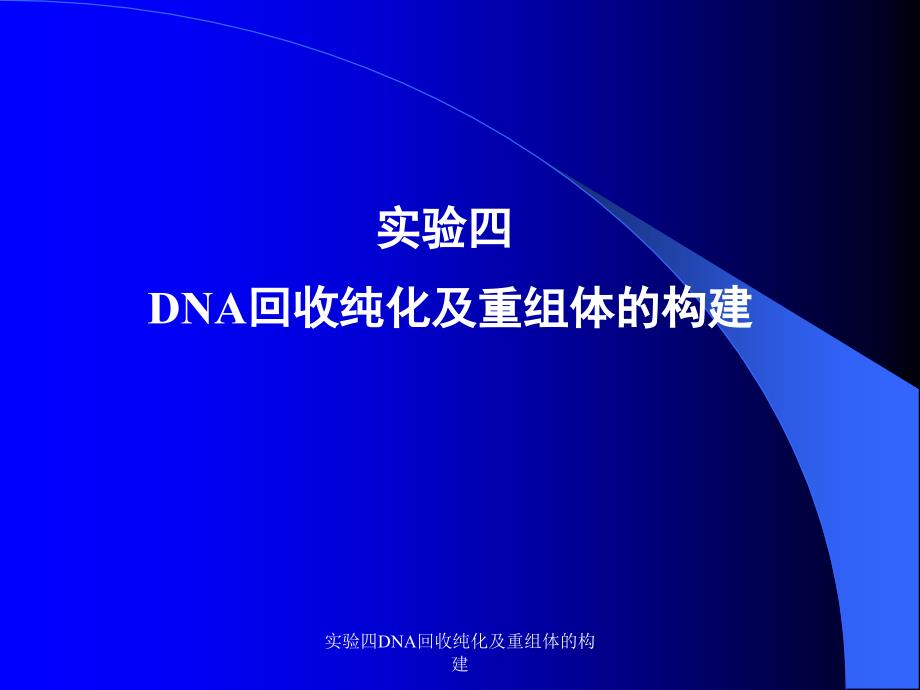 实验四DNA回收纯化及重组体的构建课件_第1页