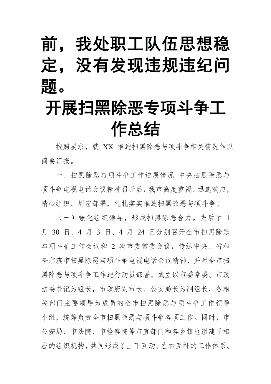 开展扫黑除恶专项工作情况自查汇报_第3页