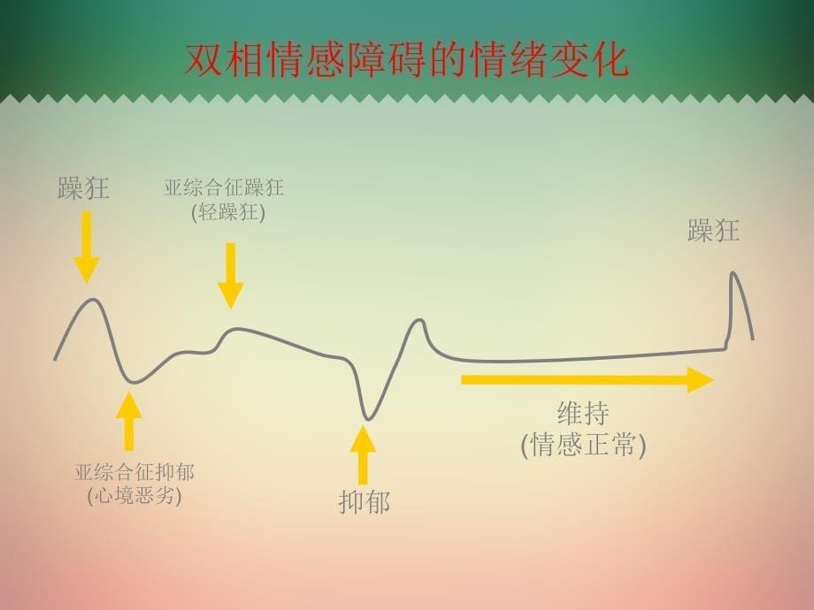 双相情感障碍的护理查房课件.ppt_第5页