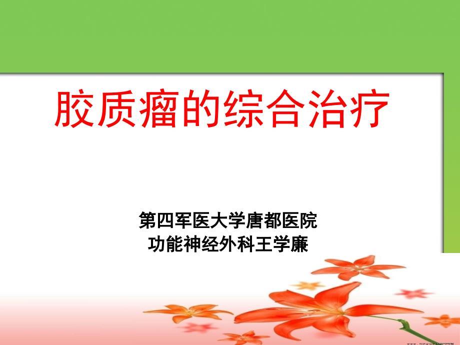 胶质瘤治疗——第四军医大学神经外科王学廉.ppt