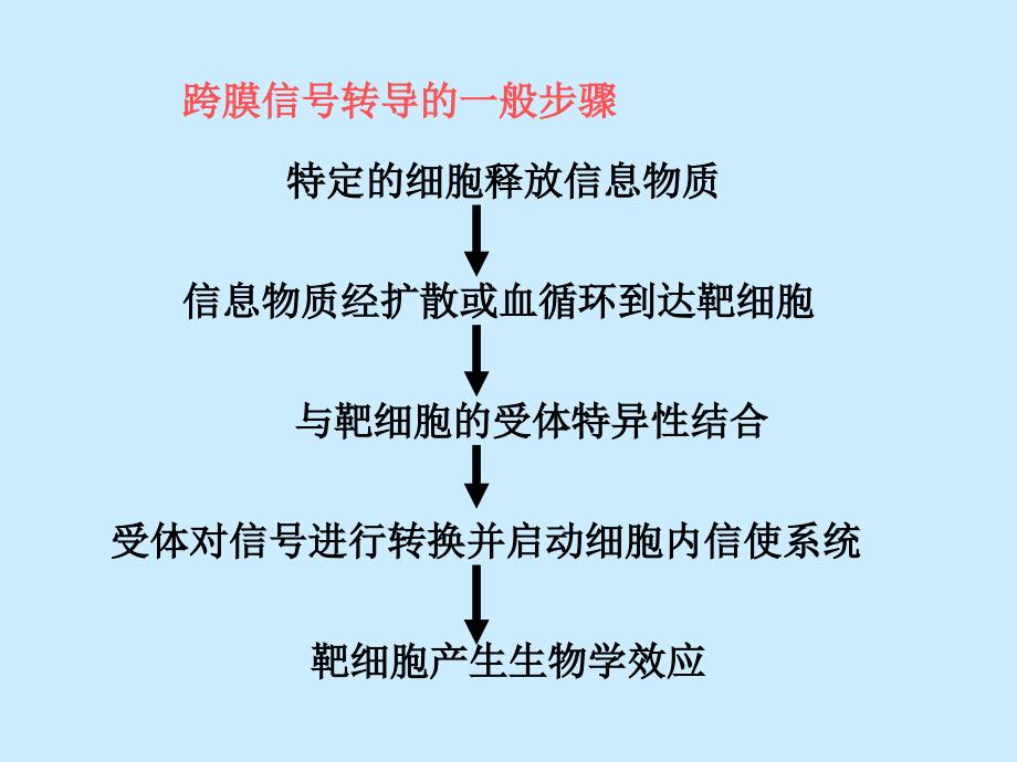 真核生物的基因组真核生物基因表达调控的特点和种类真核生_第4页