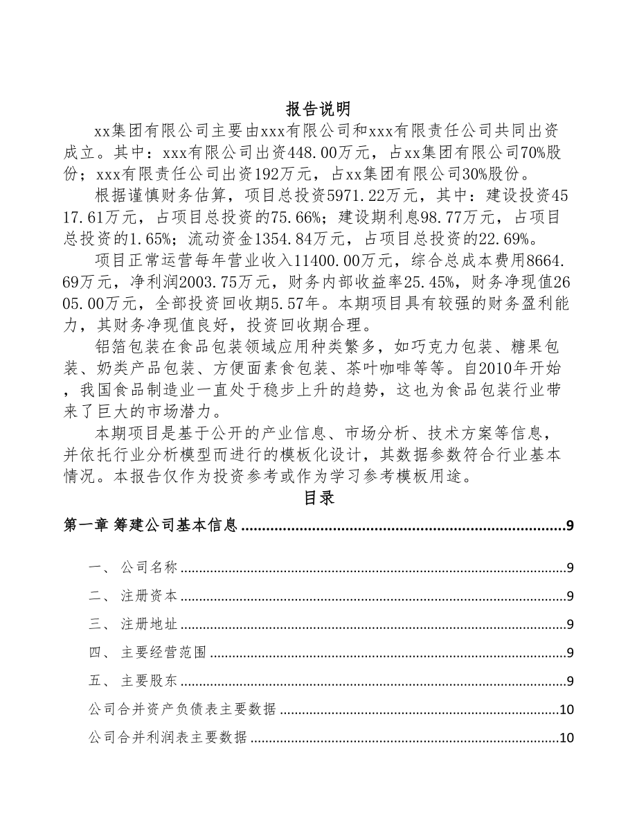 成立年产xxx万平方米铝箔公司策划书(DOC 82页)_第2页