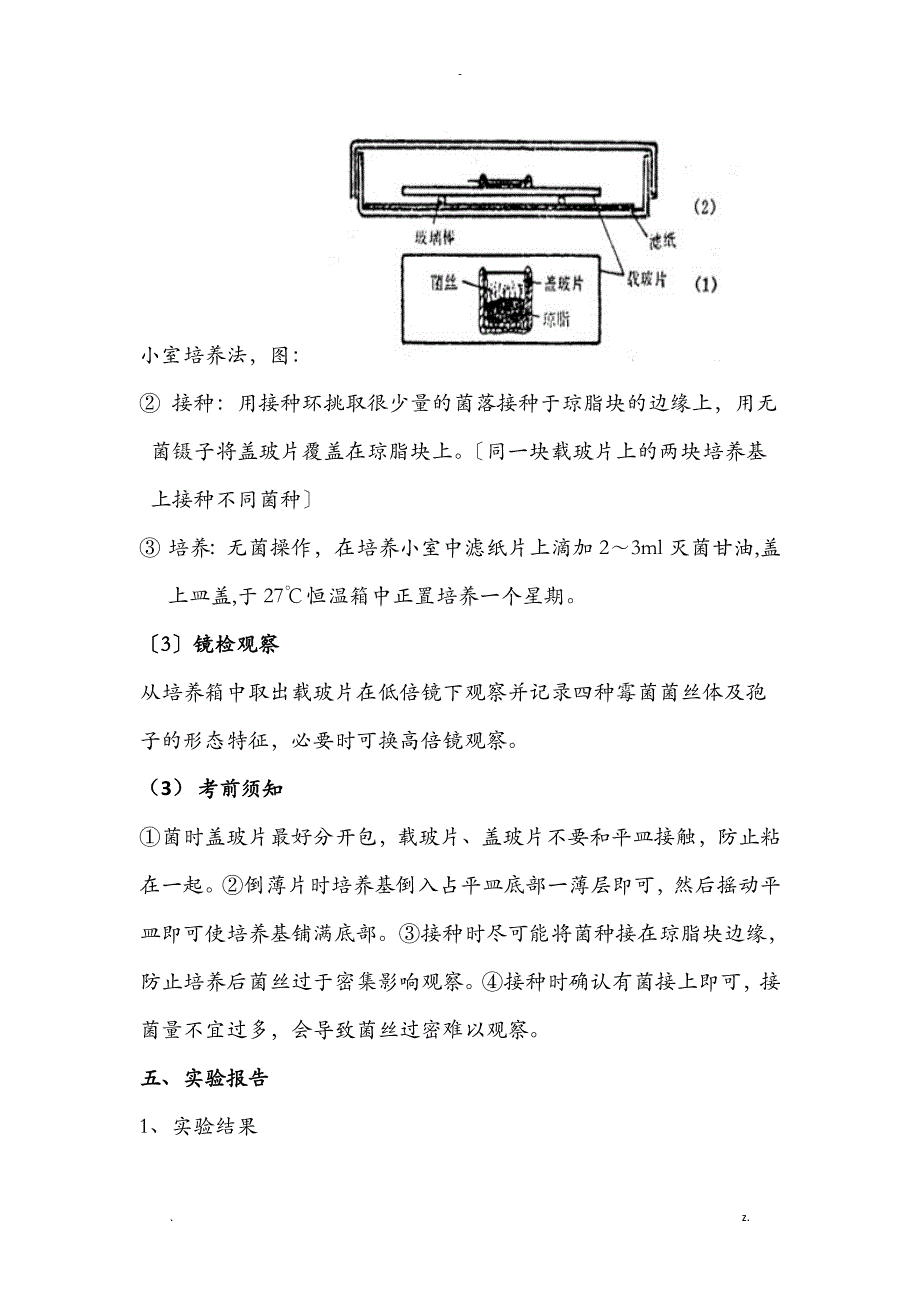 实验七霉菌的培养和观察_第3页