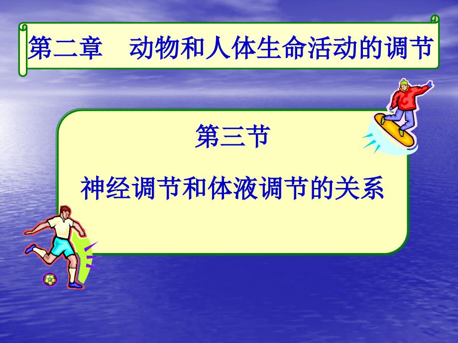 2.3神经调节与体液调节的关系课件王有泽_第3页