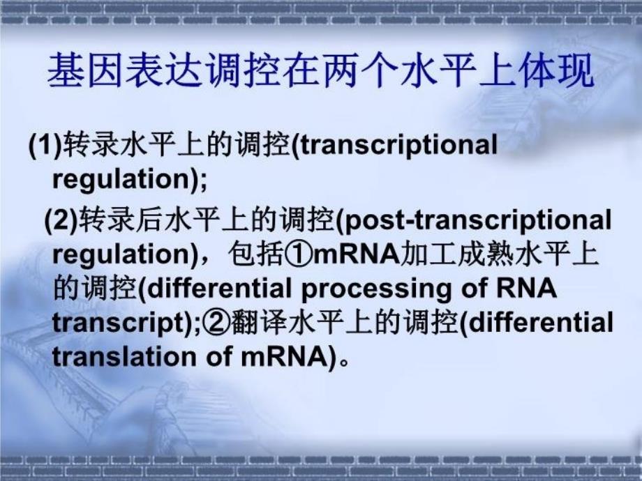 最新微生物转录调控PPT课件_第4页