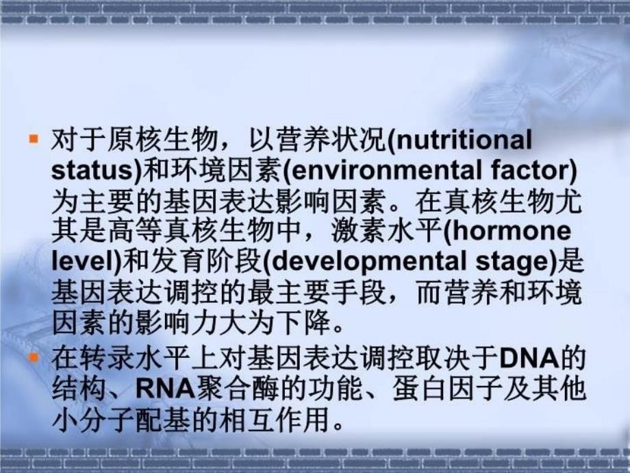 最新微生物转录调控PPT课件_第5页