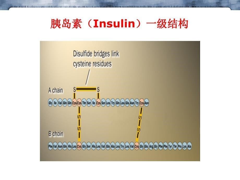 DNS-Cl末端氨基测定_第5页