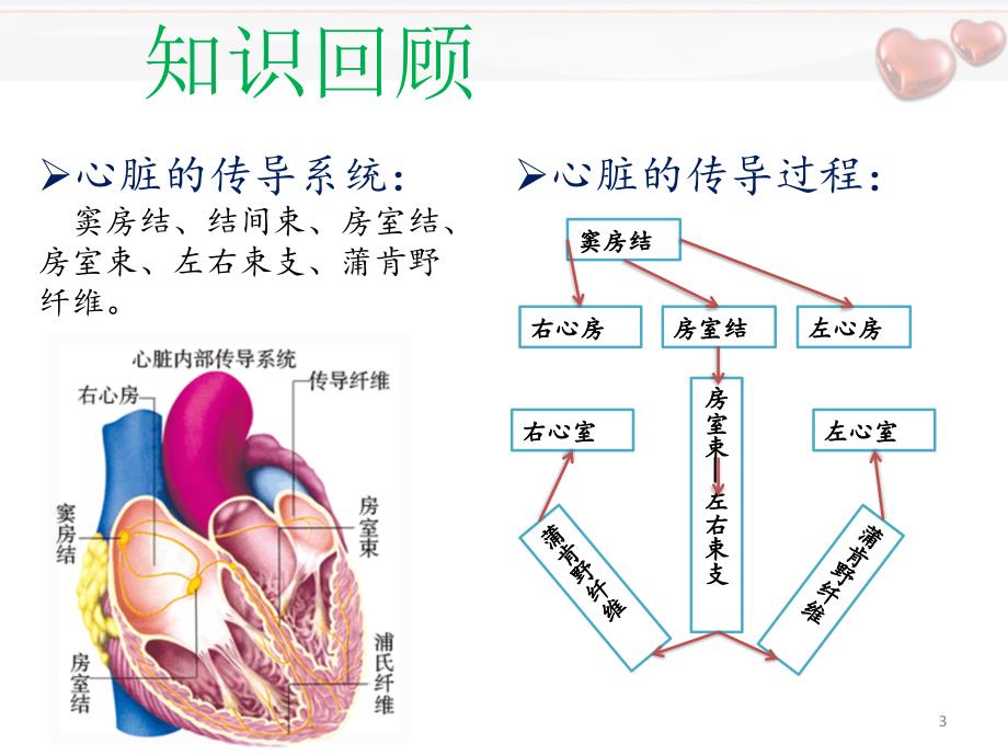 推荐精选室上速护理查房_第3页