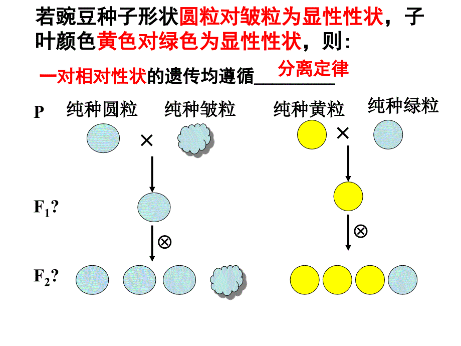 人教版必修二第1章第2节孟德尔的豌豆杂交实验（2）（共48张PPT）_第3页