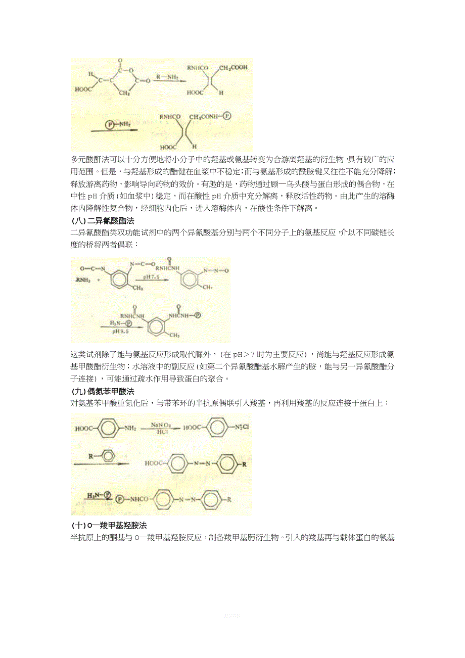 蛋白交联.doc_第4页