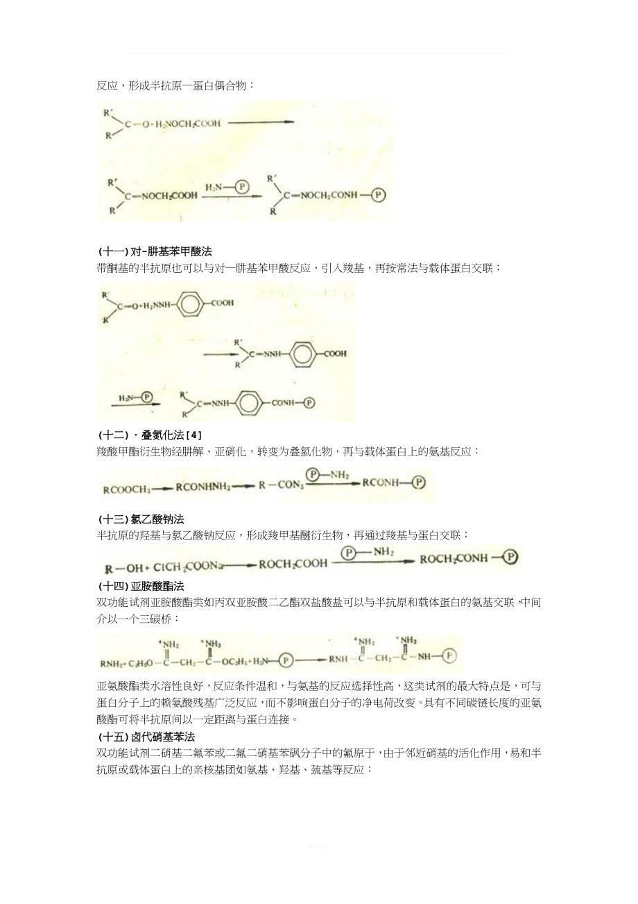 蛋白交联.doc_第5页