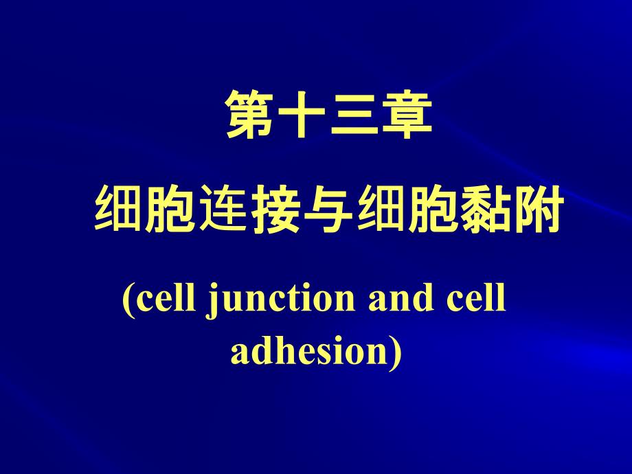 细胞连接与细胞黏徐晋课件_第1页