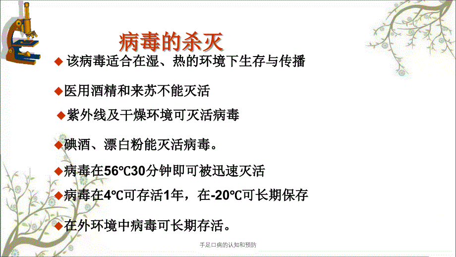 手足口病的认知和预防_第4页