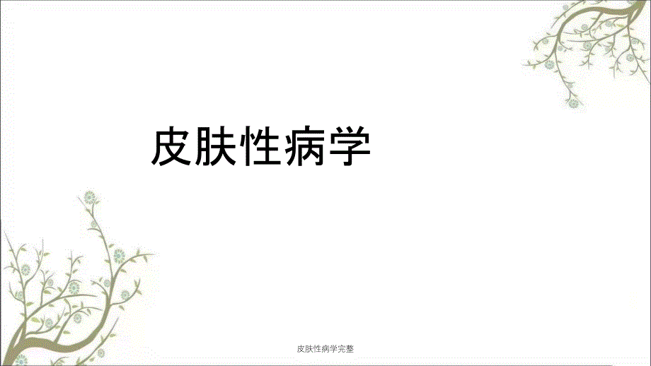 皮肤性病学完整_第1页