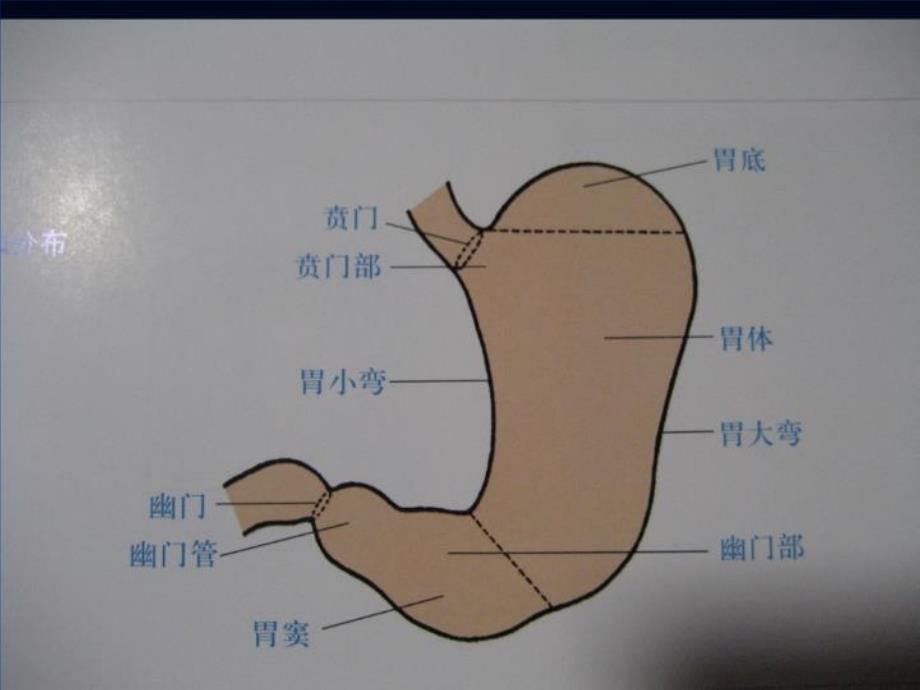 乡村医生培训课件胃炎_第4页