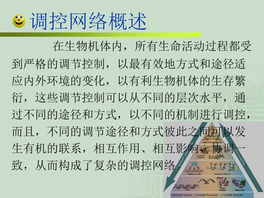 在基因组水平上探索基因表达的代谢和遗传控制调控网络_第3页