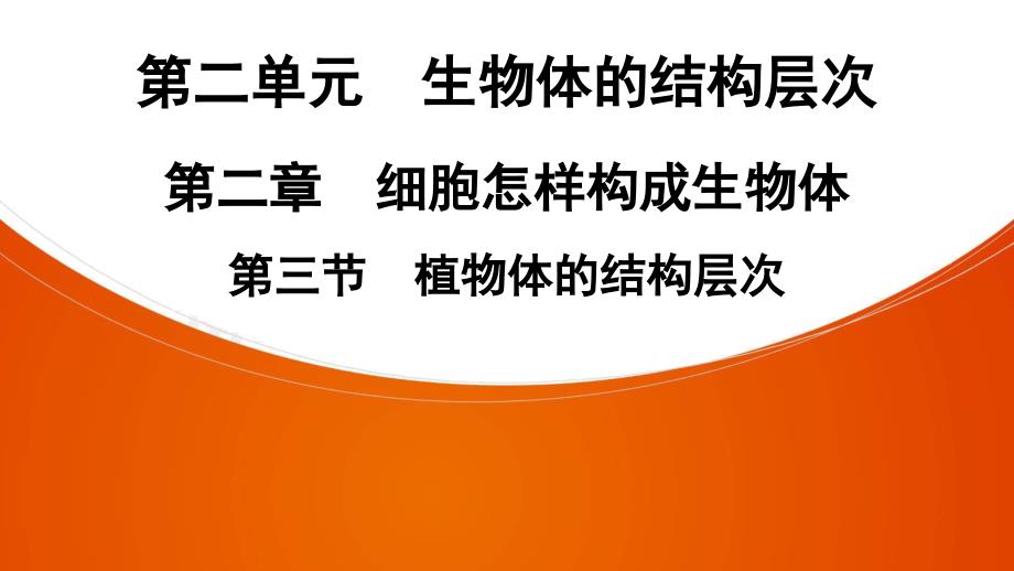 生物七年级上册人教版第2单元第2章第3节植物体的结构层次课件_第1页