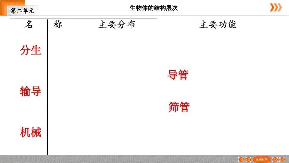 生物七年级上册人教版第2单元第2章第3节植物体的结构层次课件_第5页