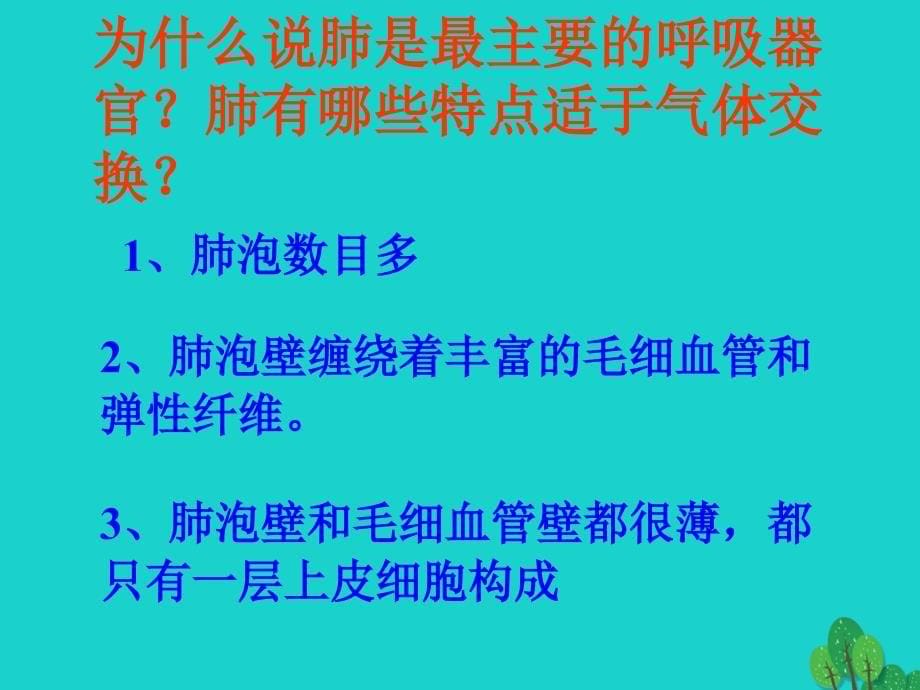 山东省邹平县实验中学七年级生物下册 3.2.1 人体与外界的气体交换课件（2）（新）济南_第5页