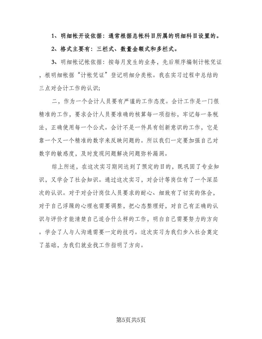 2023年会计个人实习总结标准范本（2篇）.doc_第5页