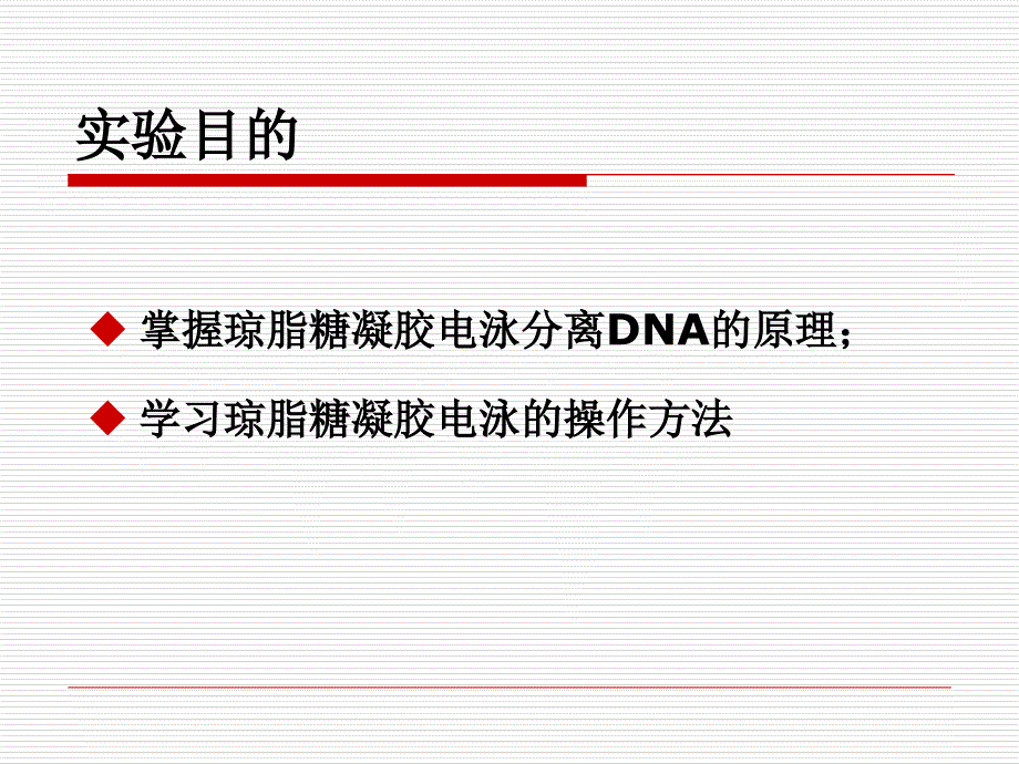 试验二质粒DNA电泳鉴定_第2页