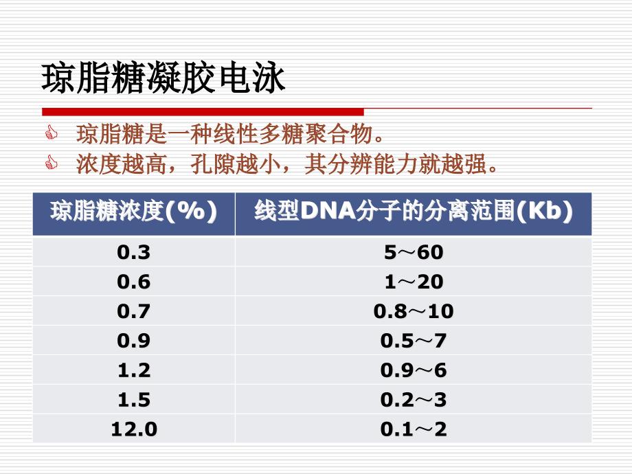 试验二质粒DNA电泳鉴定_第4页