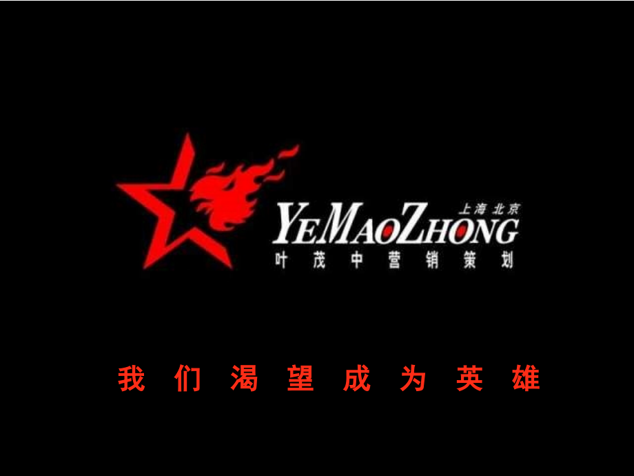 【广告策划-PPT】叶茂中策划_海王银杏叶片年度推广计划