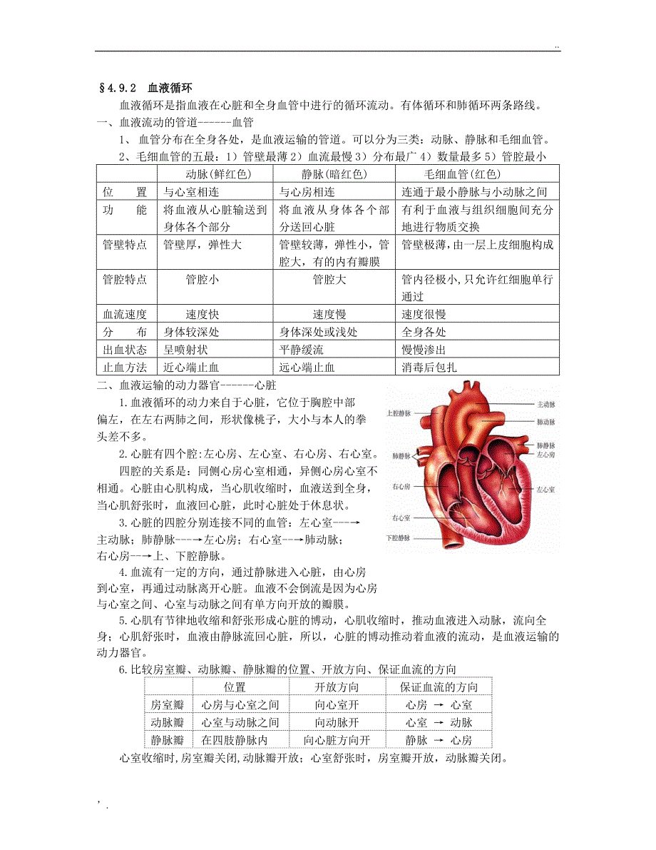 七年级生物下册复习资料(北师大版)_第4页