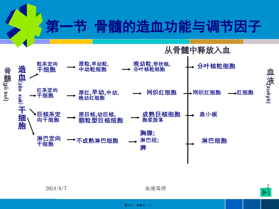 血液毒理课件_第2页