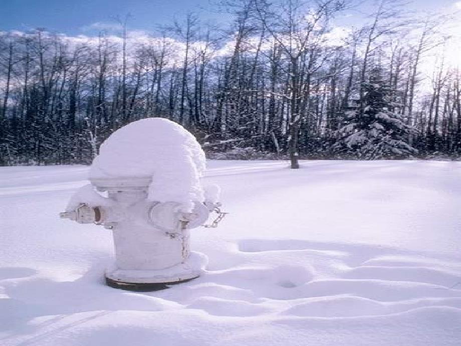 一年级语文上册《雪地里的小画家》课件2 北师大版_第4页