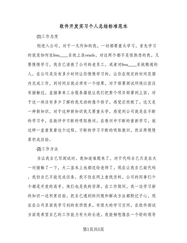 软件开发实习个人总结标准范本（3篇）.doc