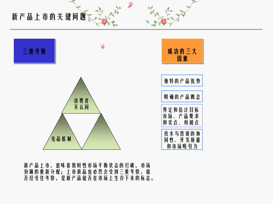 新品到底怎么上市新产品上市计划_第2页