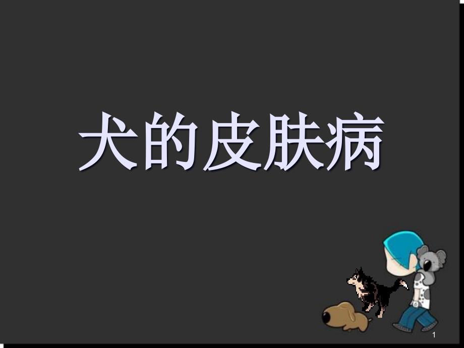 犬的皮肤病PPT幻灯片.ppt_第1页