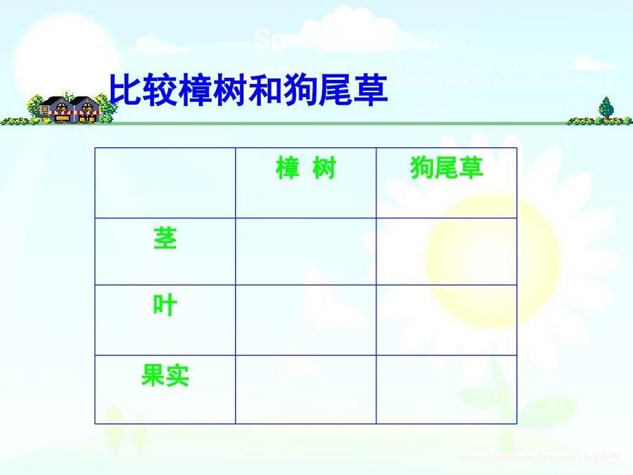 教科版小学科学三年级上册第一单元《大树和小草》PPT课件_第5页